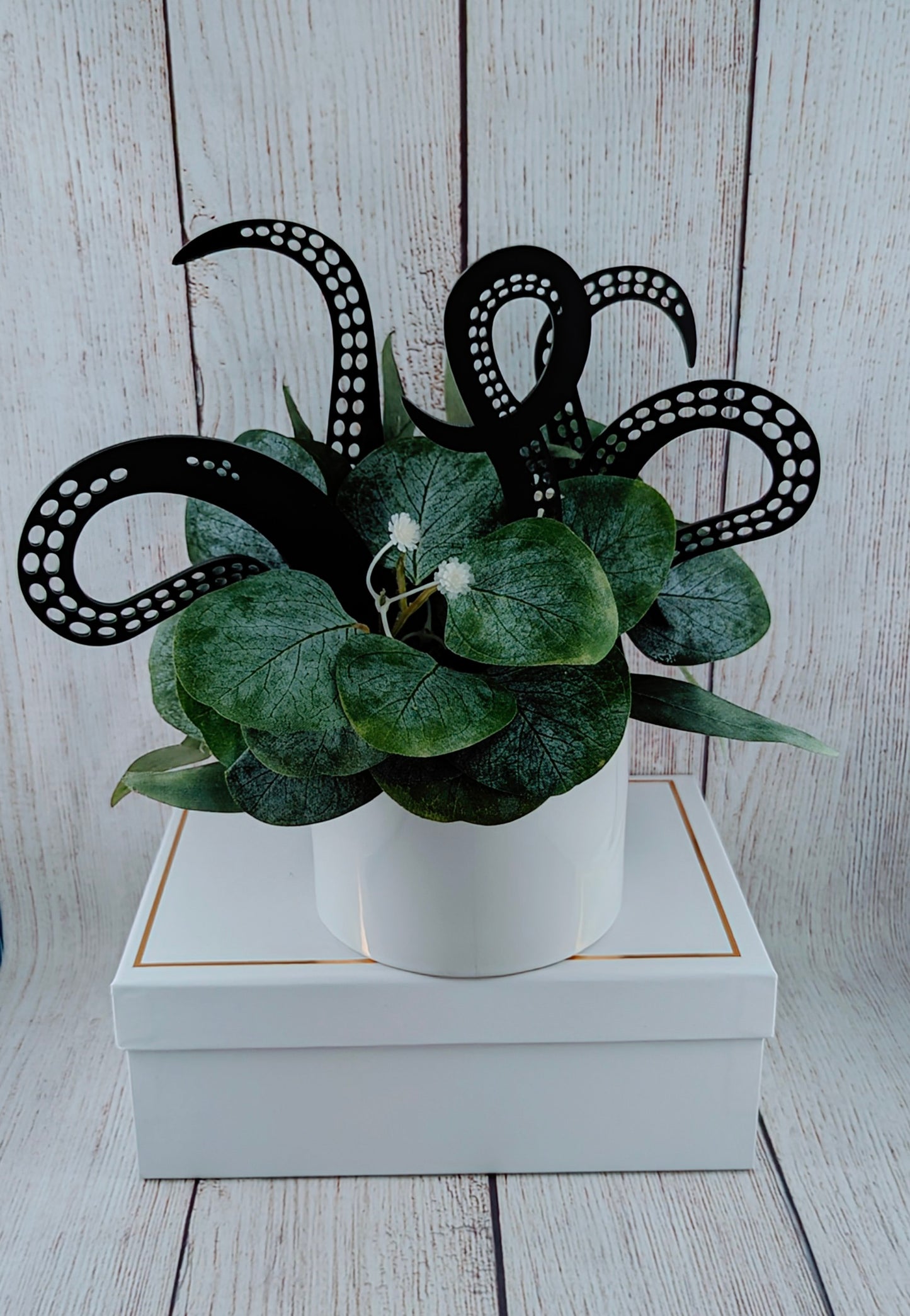 Undercover Cephalopods! (Octopus Plant Pet)