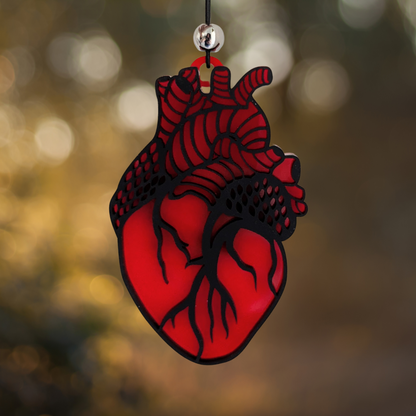 Anatomical Heart Acrylic Ornament