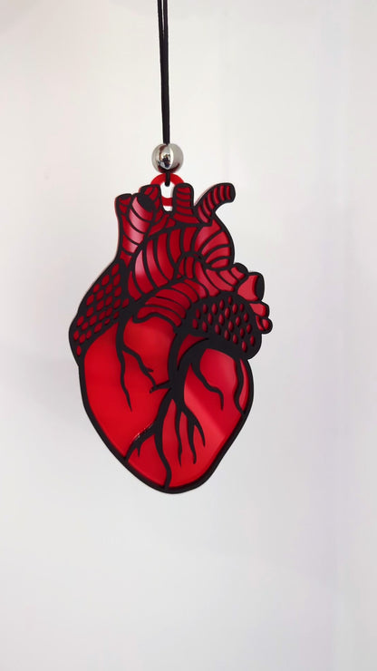 Anatomical Heart Acrylic Ornament