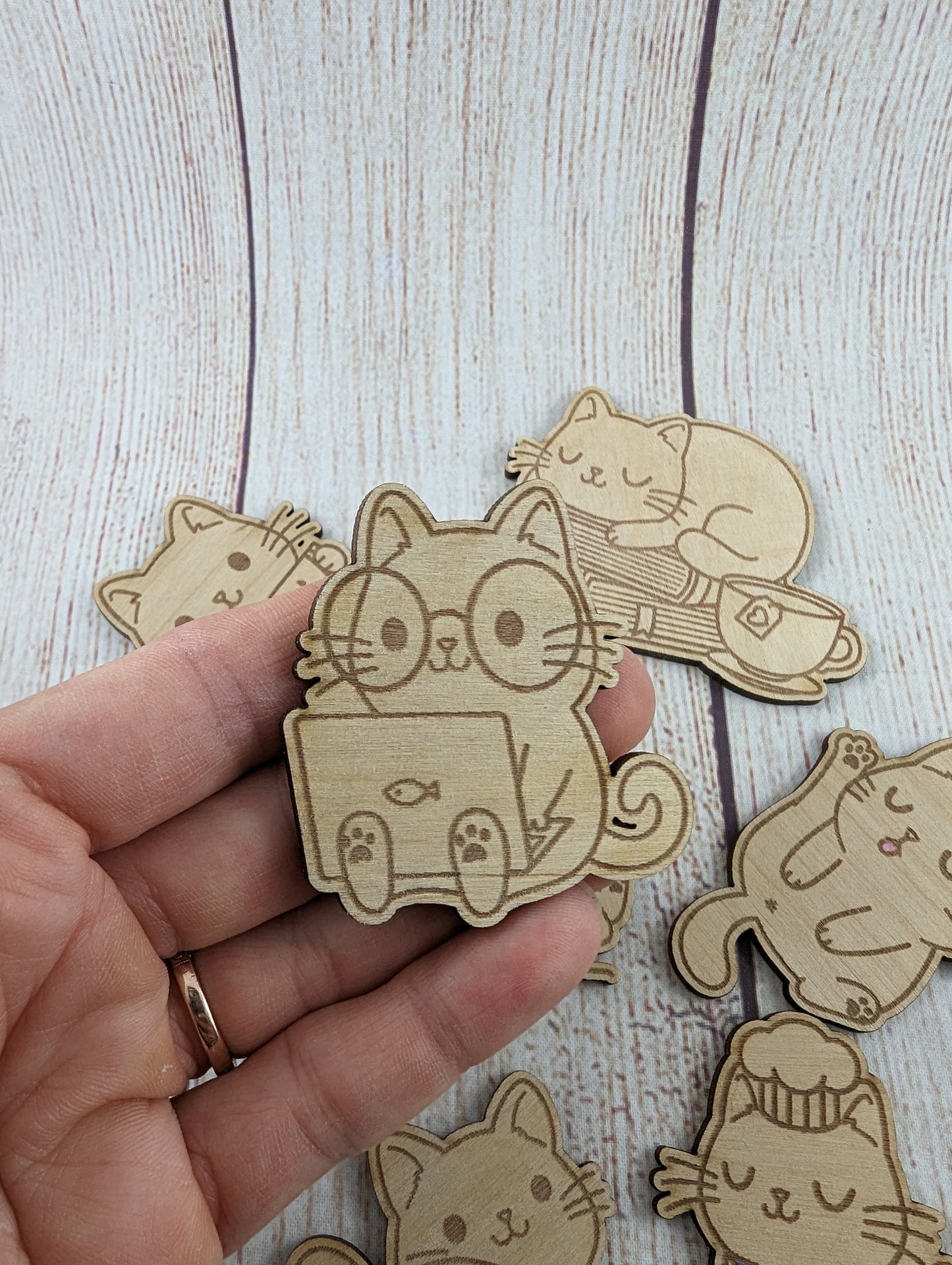 Cat Fridge Magnets